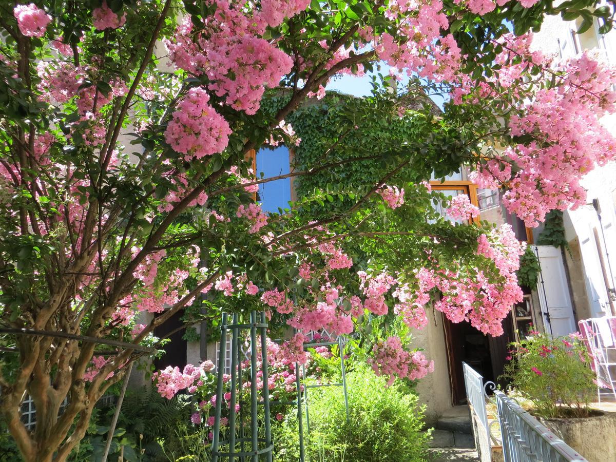 La Mirandole Bed & Breakfast Foix Luaran gambar
