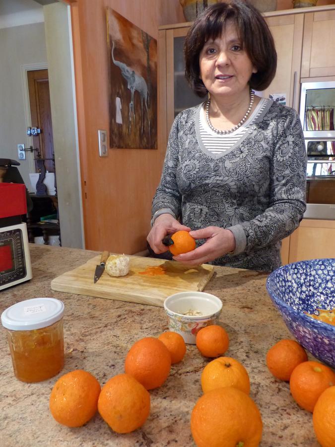 La Mirandole Bed & Breakfast Foix Luaran gambar